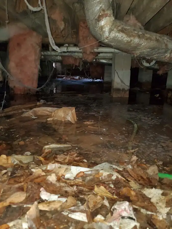 Crawl space flood assessment for Commercial Water Damage Restoration in Florence-Graham
